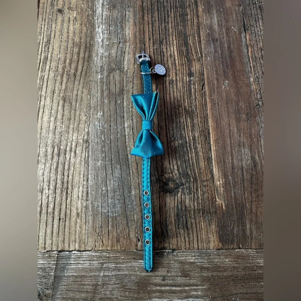 Elegant Teal Dog Collar with Bow